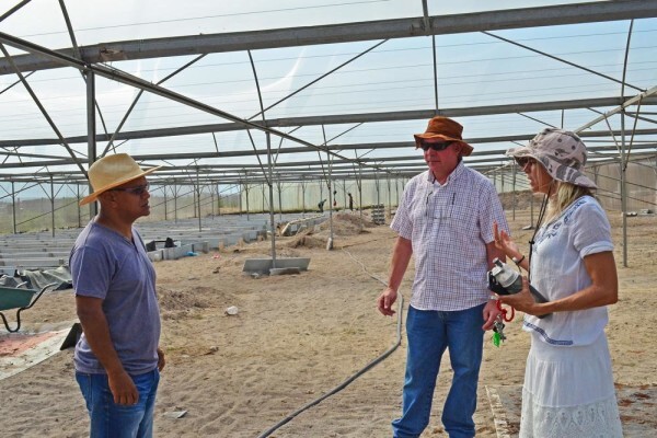 Philippi Economic Development Initiative