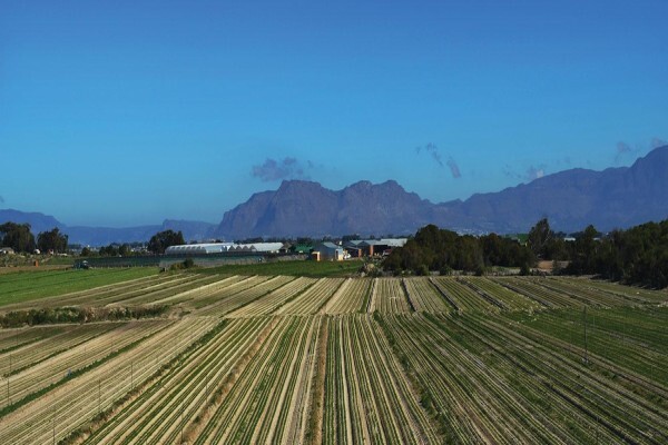 Philippi Economic Development Initiative