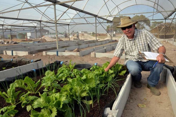 Philippi Economic Development Initiative