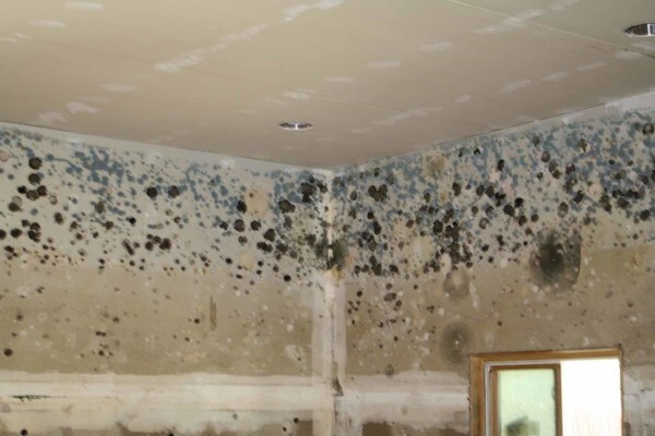 Plascon Agent Trade Depot:Pinetown-Westmead