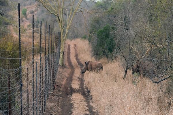 University Of KwaZulu-Natal:College Of Law & Management Studies:Faculty Of Law - Howard College:Facu