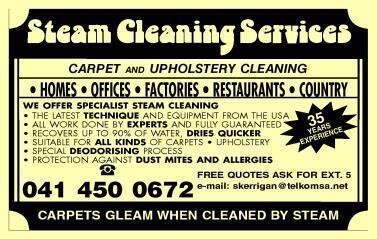 Steam Cleaning Services