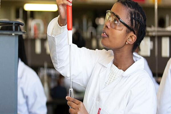 University Of The Witwatersrand (Johannesburg)