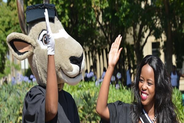 University Of The Witwatersrand (Johannesburg)