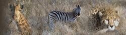 Monate Game Lodge