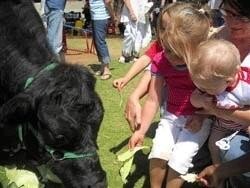 Little Lulu Day Care Centre.