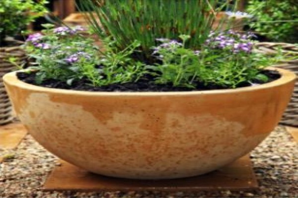 Flora Imports