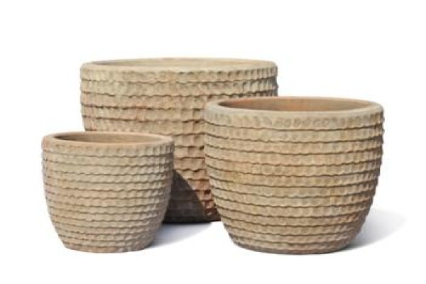Flora Imports