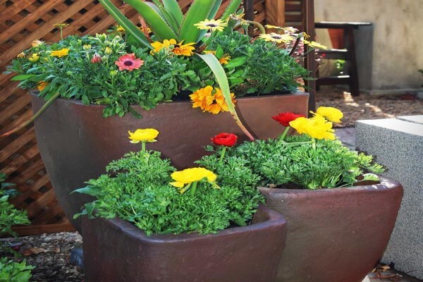 Flora Imports