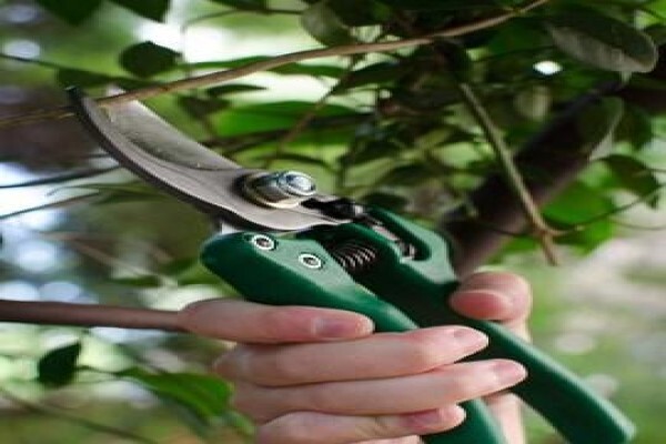 Lasher Tools