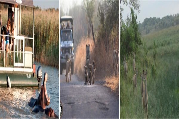 Remax Heritage