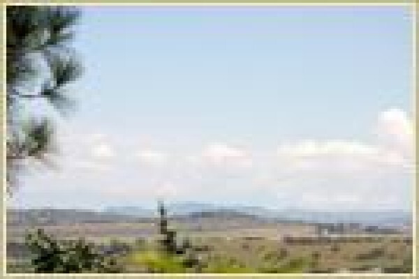 Buller's Rest Guest House & Lodge