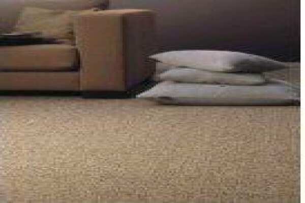 Wonder Flooring