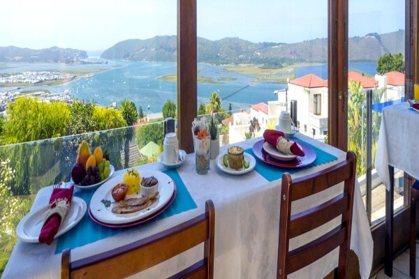 Blue Oyster B & B