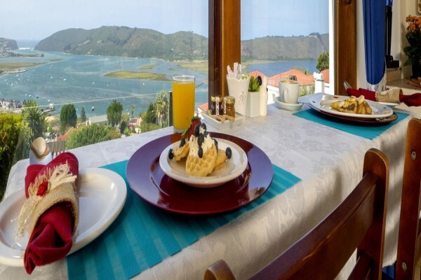 Blue Oyster B & B