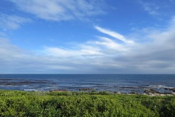 Realtors International (Durbanville) Manja Kritzinger