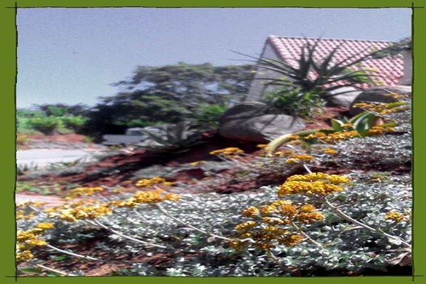 Earth Landscapes