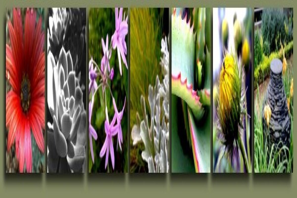 Earth Landscapes