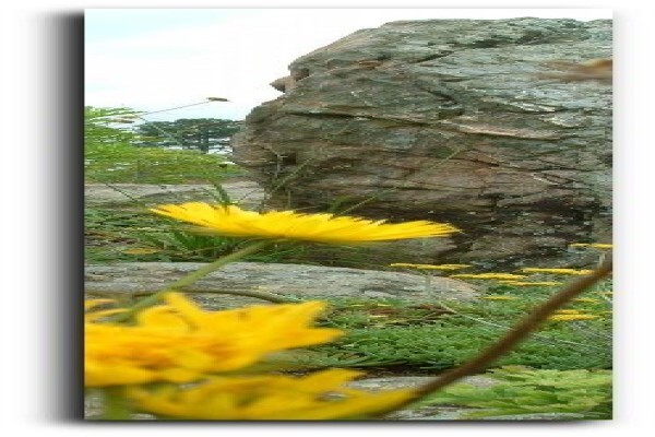 Earth Landscapes
