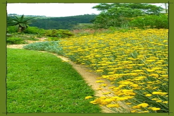 Earth Landscapes