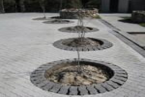 B & B Paving CC