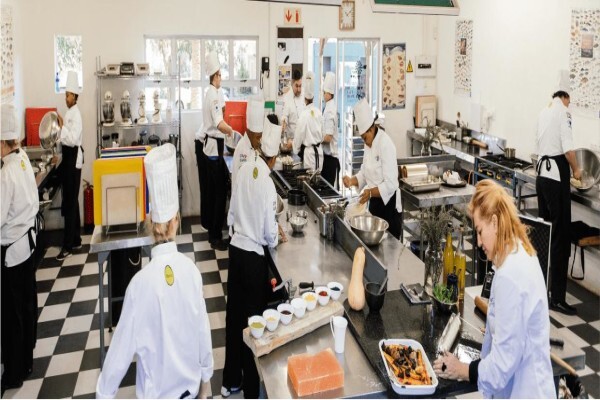 Olive Chef School
