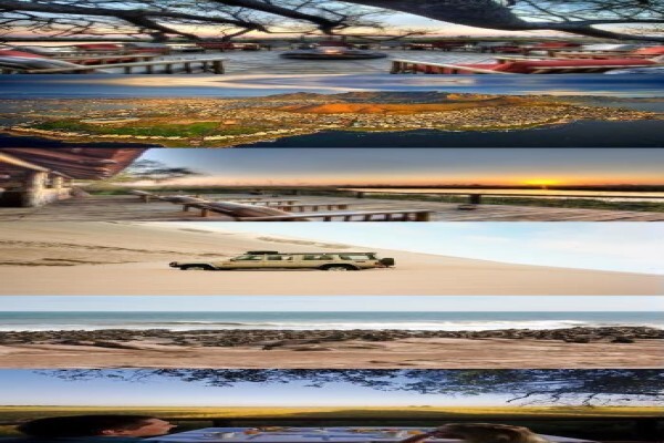 Temba Safaris & Travel