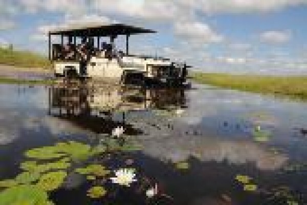Temba Safaris & Travel