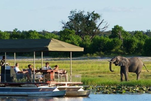 Temba Safaris & Travel