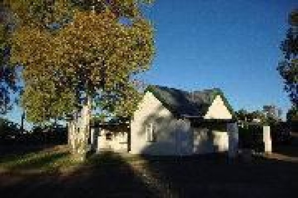 Temba Safaris & Travel