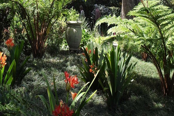 Ladybird Landscapes