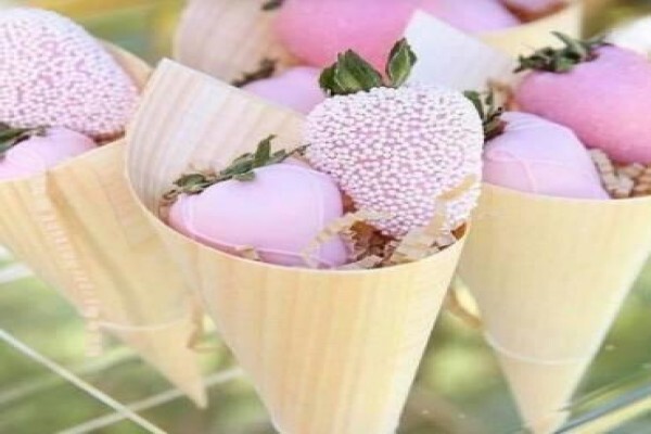 Cuisine Bon Vivant Caterers