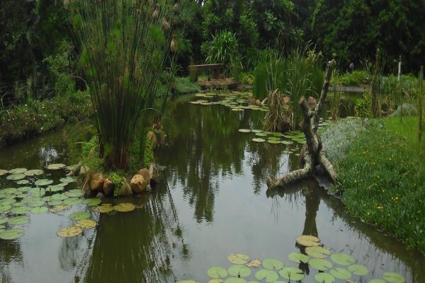 Ladybird Landscapes