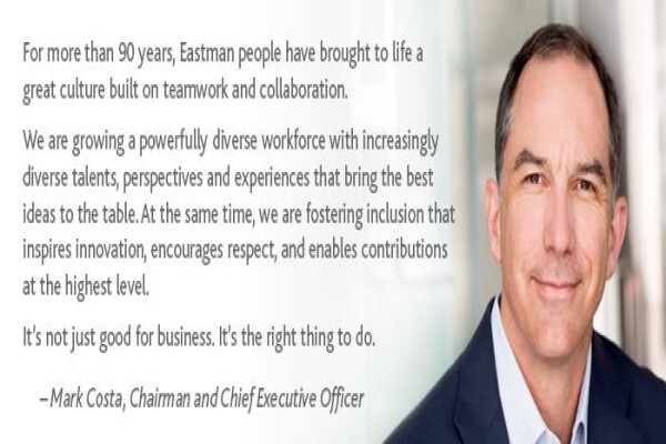 Eastman Chemical BV
