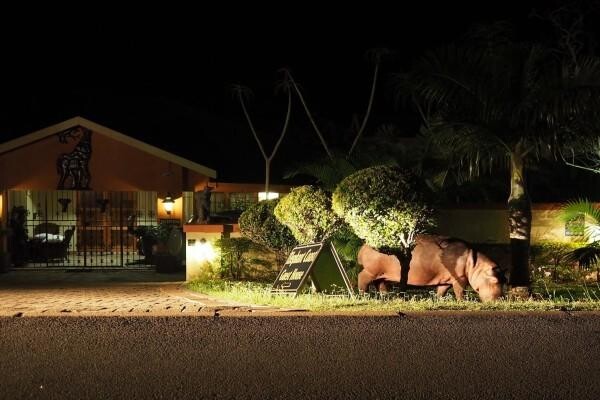 Elephant Coast Guest House