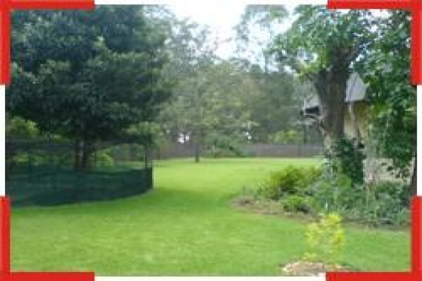 Little Thatches Bed & Breakfast