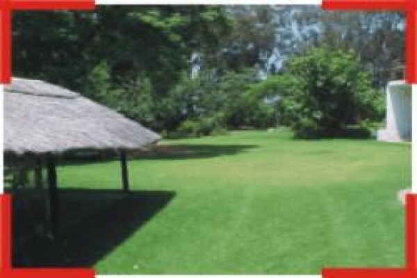 Little Thatches Bed & Breakfast