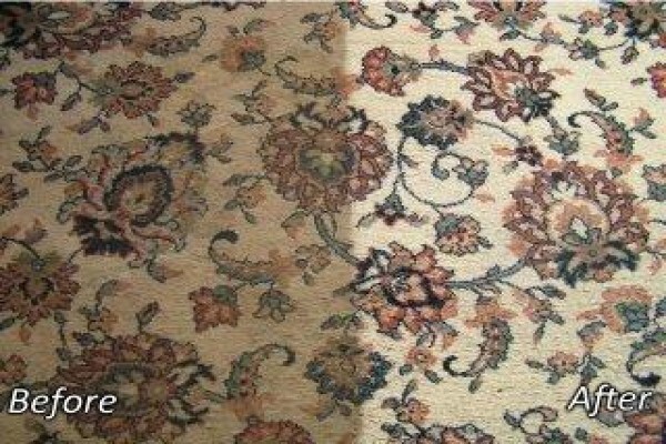 Rescue Carpet