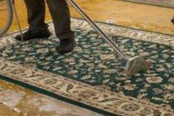 Rescue Carpet