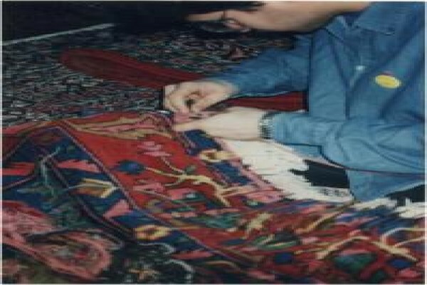 Rescue Carpet
