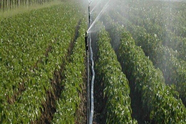 Fluid & Water Technologies Africa