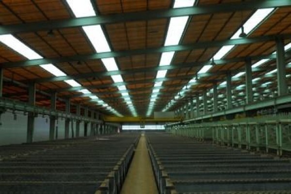 D & B Industrial Consultants