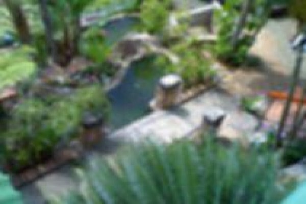 Emoyeni Tours & Lodge