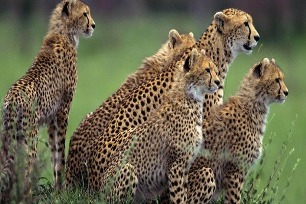 Umfolozi River Lodge & Bird Park
