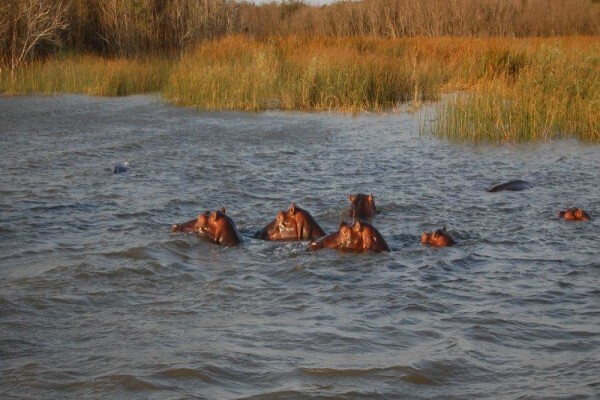 Umfolozi River Lodge & Bird Park