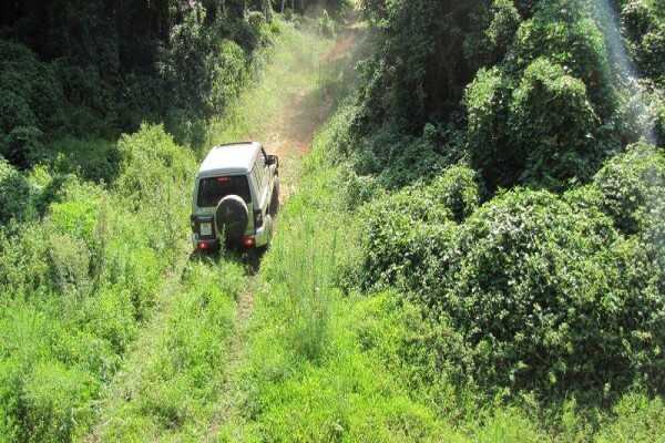Umfolozi River Lodge & Bird Park