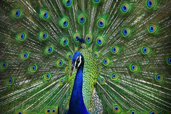 Umfolozi River Lodge & Bird Park