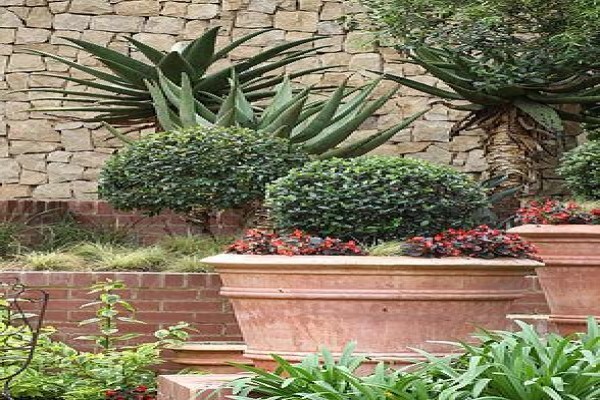 The School Of Garden Design