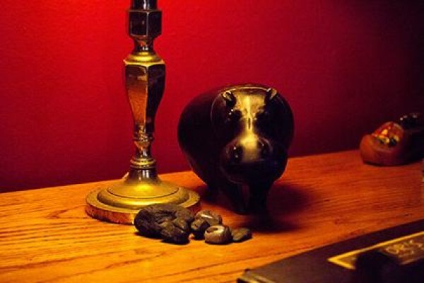 Raptor's Rest B & B