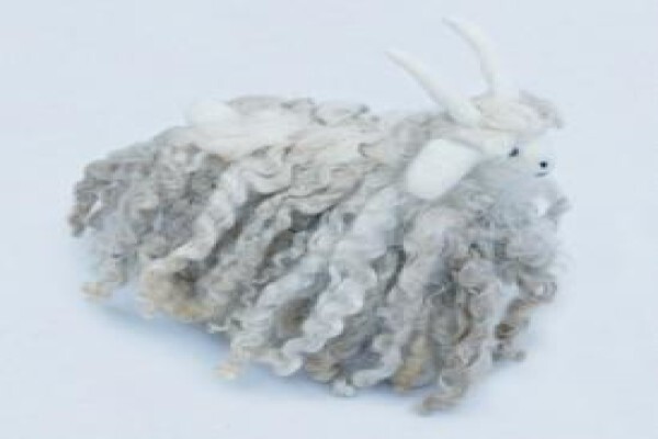 Baraka Eclectic Decor & Gifts